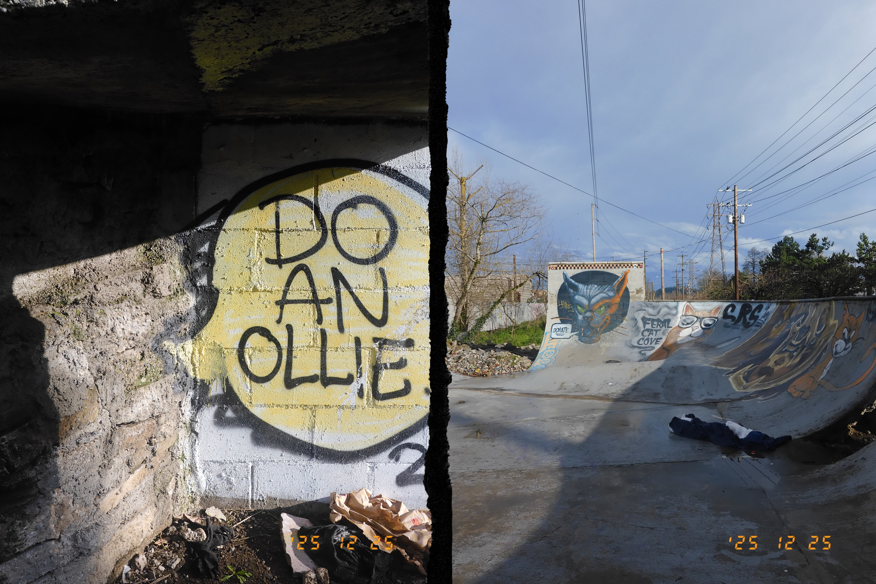 A split image shows graffiti saying DO AN OLLIE on one side and a skate park with graffiti-covered ramps on the other.