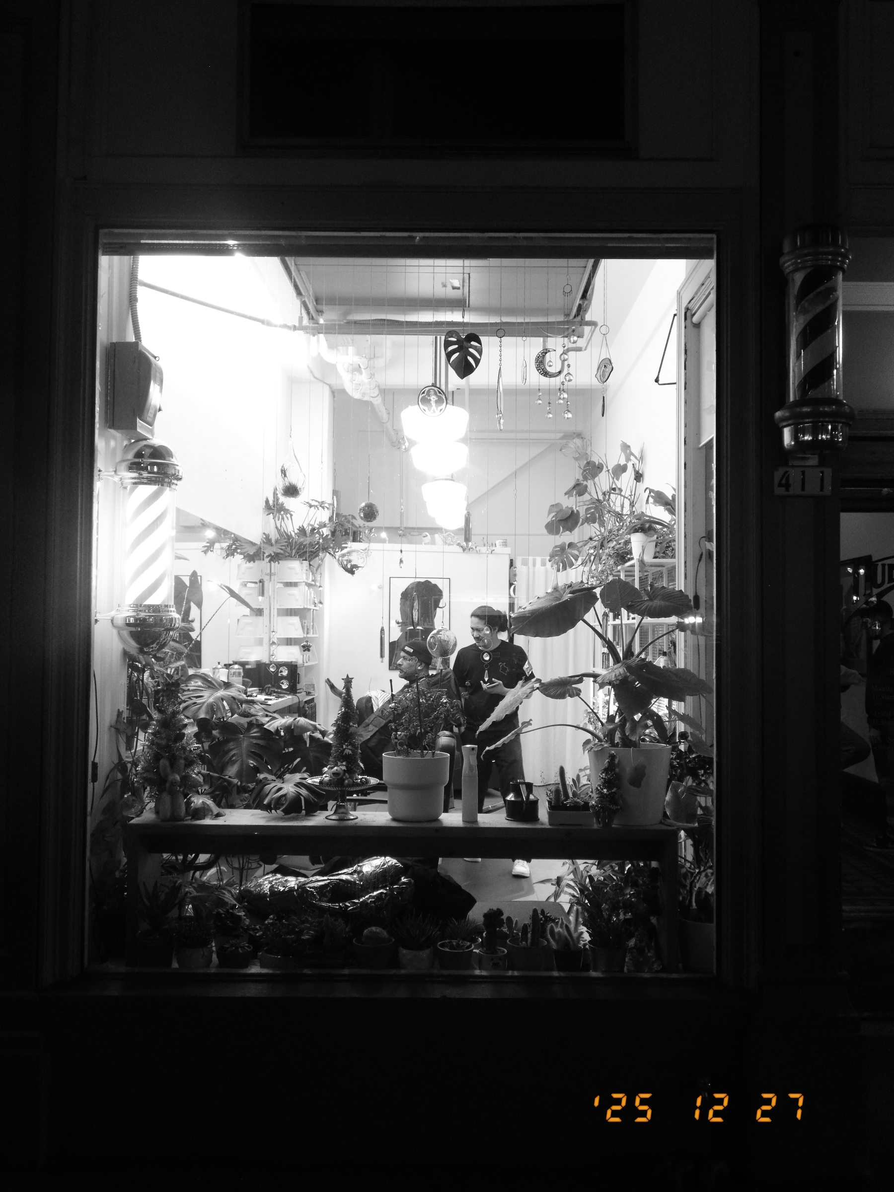 Auto-generated description: A person is cutting hair in a barber shop filled with plants, viewed through a large window at night.