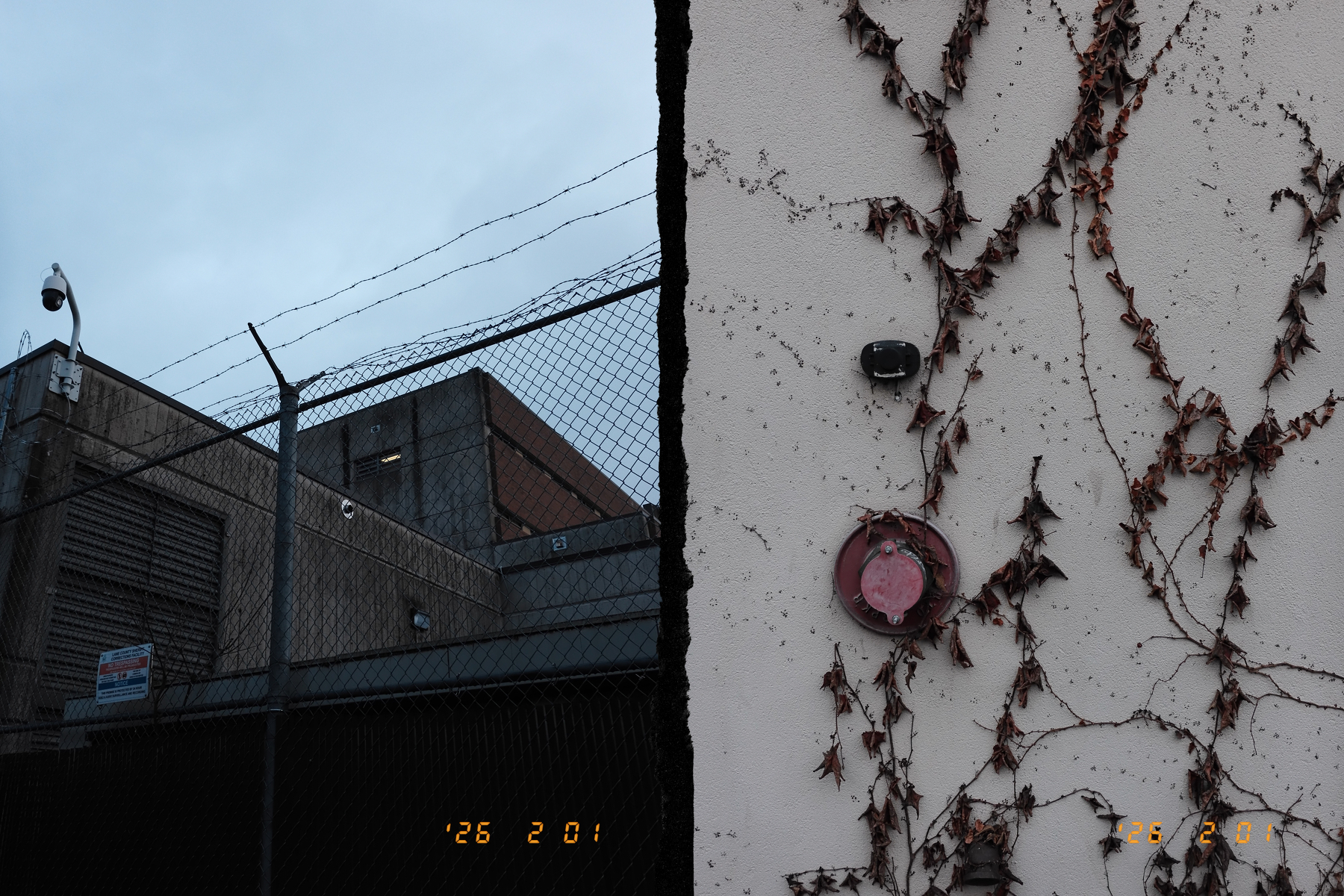 A barbed wire fence and security cameras are set against a stark wall with dried ivy and a faded red alarm.