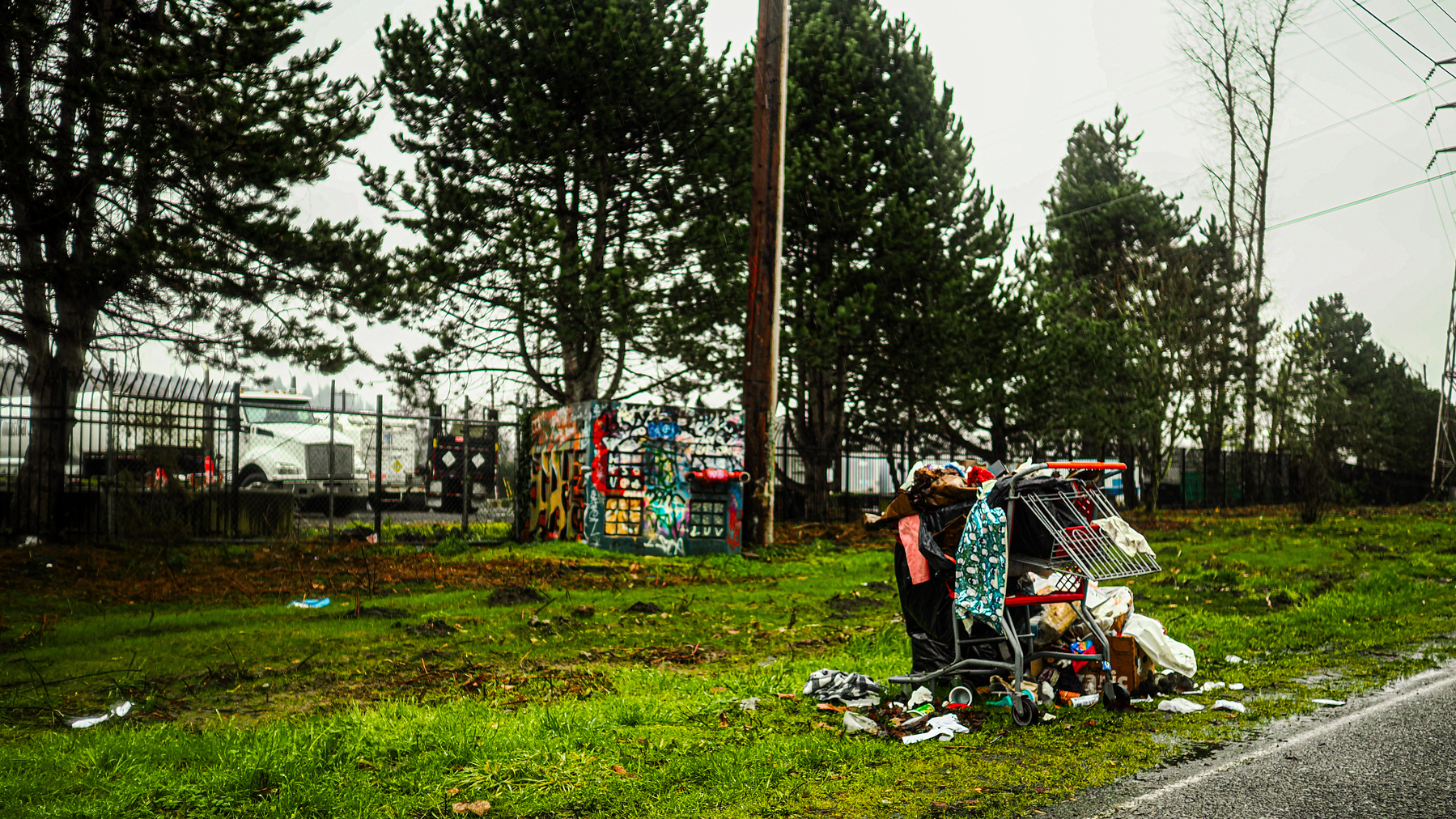 A shopping cart filled with various items is positioned on a grassy area near a road, with trees and a fence in the background.